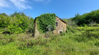 TER. AGRICOLO A PIETRABRUNA
