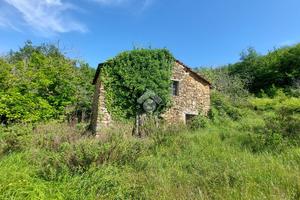 TER. AGRICOLO A PIETRABRUNA