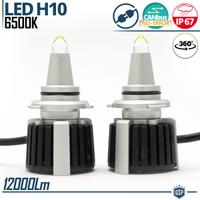 Kit LED H10 al Quarzo Lampadine 6.500K Potenti 55W