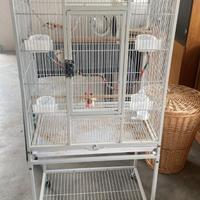 Gabbia per Uccelli Pappagalli Inseparabili Calopsi