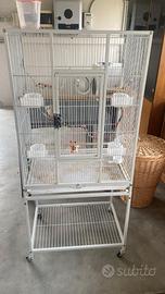 Gabbia per Uccelli Pappagalli Inseparabili Calopsi