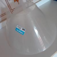 Collare elisabettiano