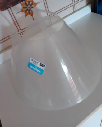 Collare elisabettiano