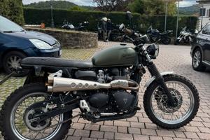 Triumph scrambler 900