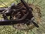 Immagine 6