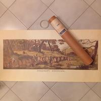 Stampa vintage anni '70 scena di caccia