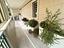 Immagine 15
