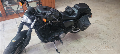 Harley davidson iron 883