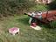 Immagine 14