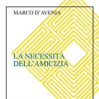 Marco D'avenia l'amicizia