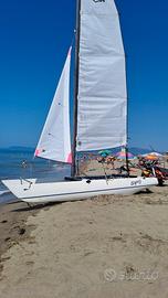 Catamarano dart 15 spring