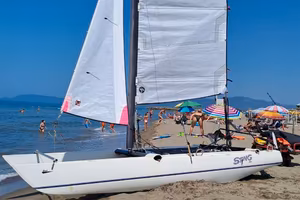 Catamarano dart 15 spring