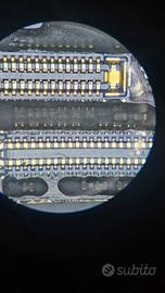 microscopio aszoom ultra nitido!