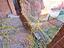 Immagine 28