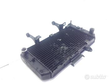 SUZUKI DL V-STROM 650 RADIATORE ACQUA LIQUIDO RAFF