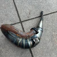 pancia gianelli