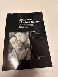 Camillo Boito e il sistema delle arti