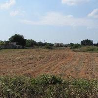 Terreno mq 4530 a Spongano