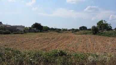 Terreno mq 4530 a Spongano