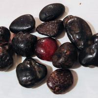 Ambra Siciliana Simetite grezza.