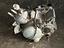 Immagine 2