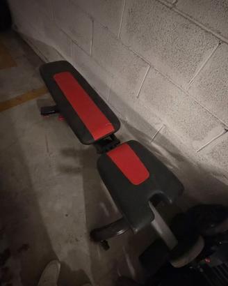 PANCA PALESTRA