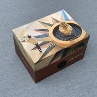 Lomography New Jupiter 3+ 50mm F1.5 L39 Leica M