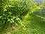 Immagine 16