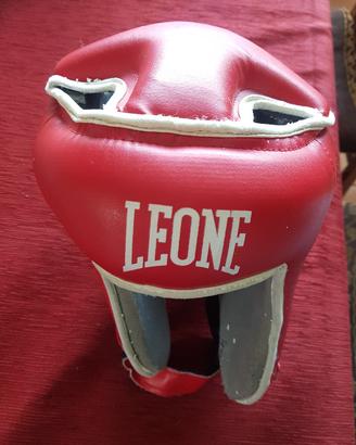 kick Boxe Leone