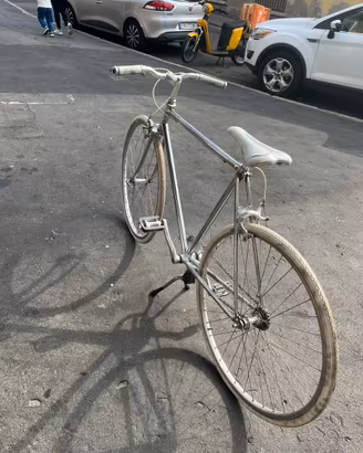 Bicicletta Cigno