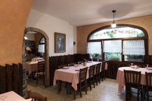 Tv,attivita' di ristotazione 348/3013623