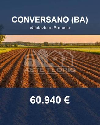 Immobile in asta di 42841 m² a Conversano