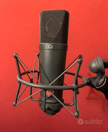 Neumann TLM193 con shock mount EA1 Neumann