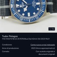 TUDOR PELAGOS MN21