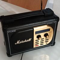 Radio Pure Marshall Evoke 1-s