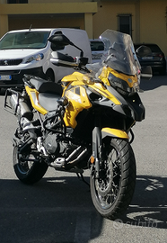 Trk 502 x giallo
