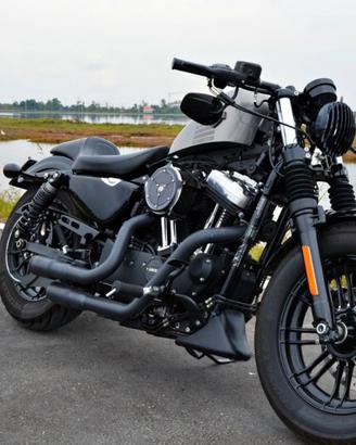 Harley davidson Sposter 1200