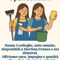 2 colleghe in pulizia
