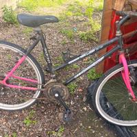 MTB  Fausto Coppi 24”