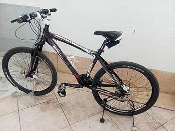Mountan bike VICINI