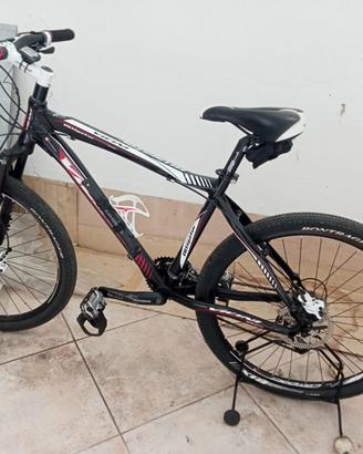 Mountan bike VICINI