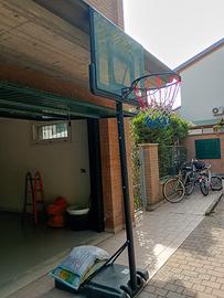 canestro 
