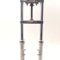 Suzuki VS 1400 Intruder Forcelle anteriori, piastr