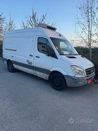 Furgone Frigo Isotermico Mercedes