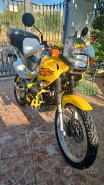 honda dominator 