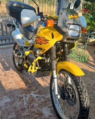 honda dominator 