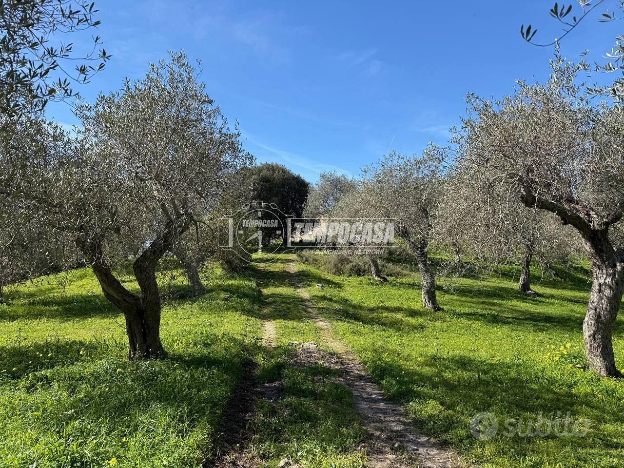 STRADA VICINALE CRABULAZZI - Altro