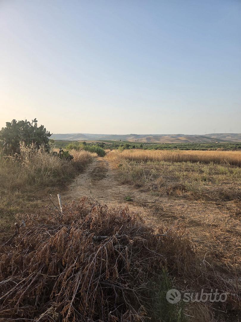 terreno agricolo - Vista 2