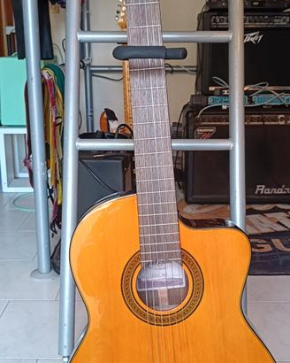 Takamine chitarra professionale con borsa lusso