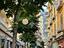 Immagine 17